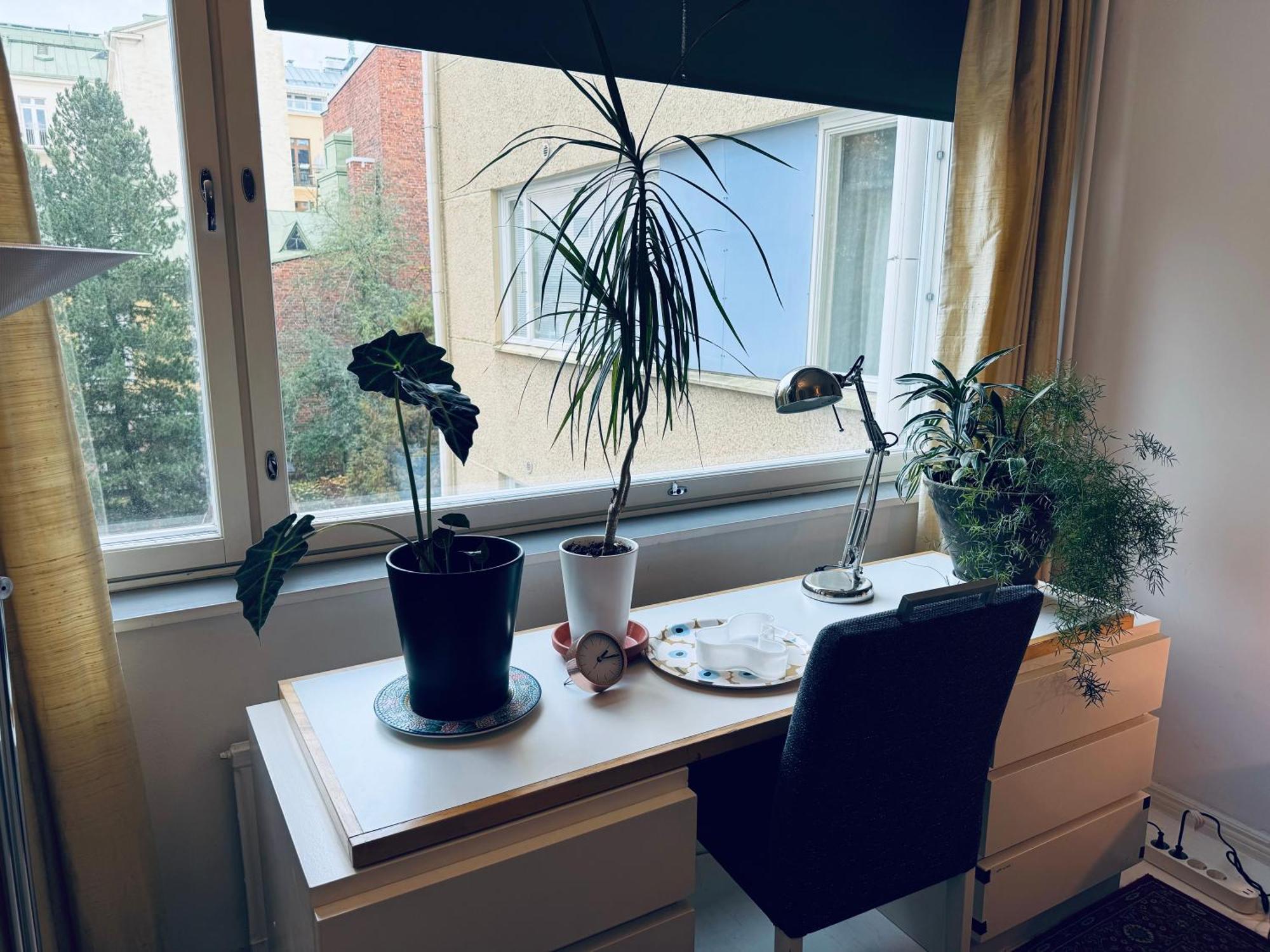 Lovely Apartment, Vuorimiehenkatu 31 Helsinki Esterno foto